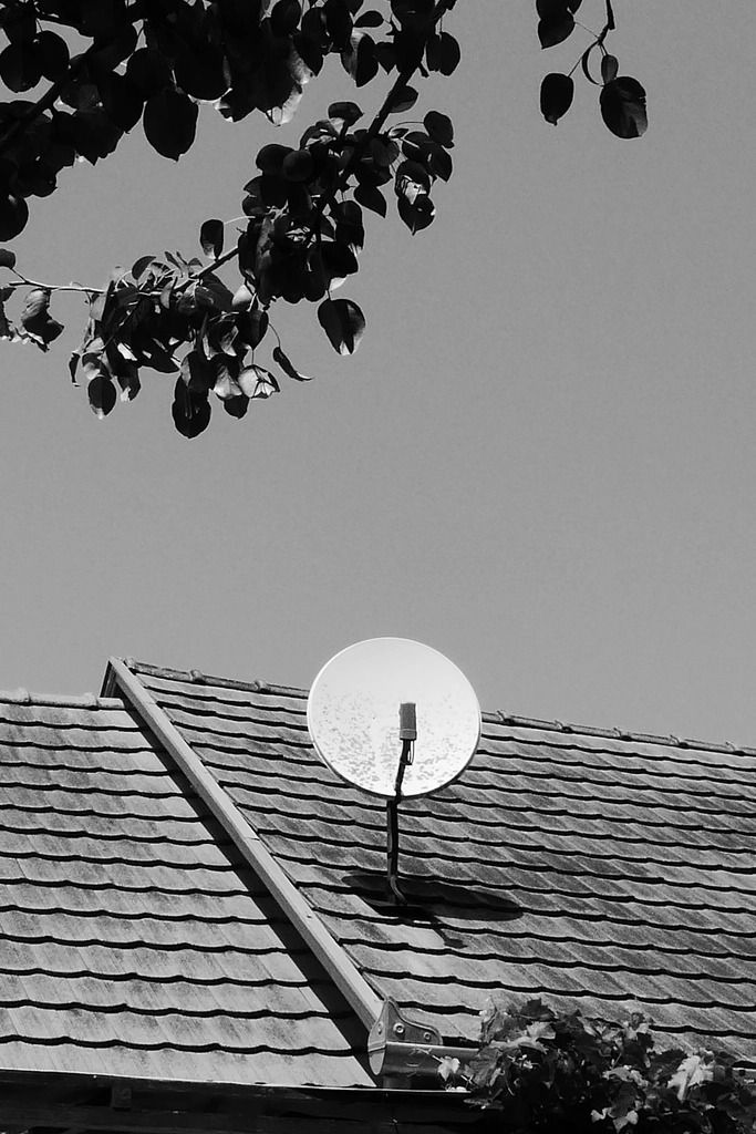 Small satellite dish fixed to a tiled roof